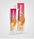Hondroten